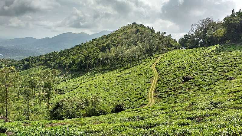 Wayanad Kerala