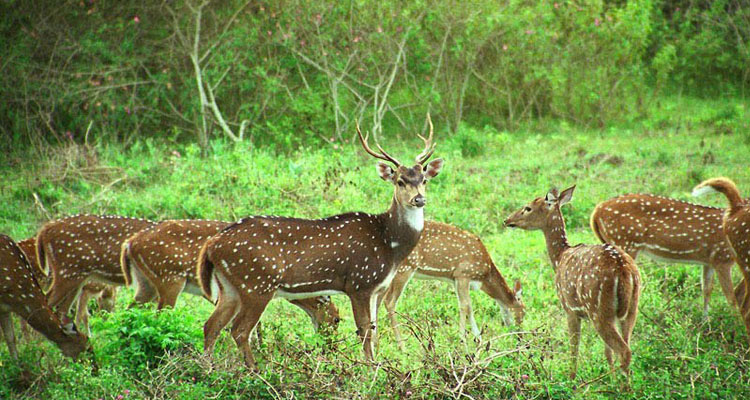  Ooty Travels